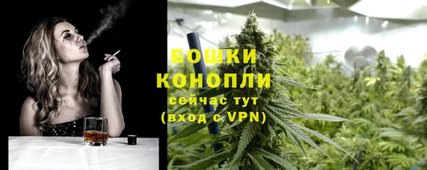 меф Дмитриев