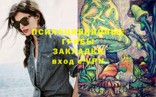 ГАЛЛЮЦИНОГЕННЫЕ ГРИБЫ Дмитров