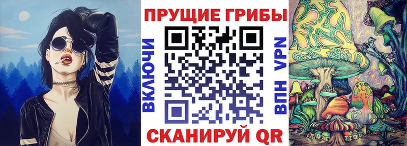 Галлюциногенные грибы мицелий  Купить закладки  Новоузенск 