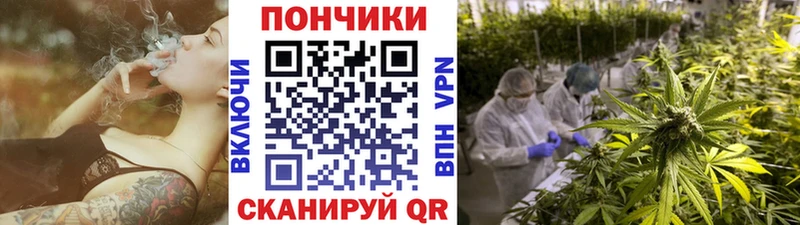 Купить  Новоузенск  Шишки марихуана семена 